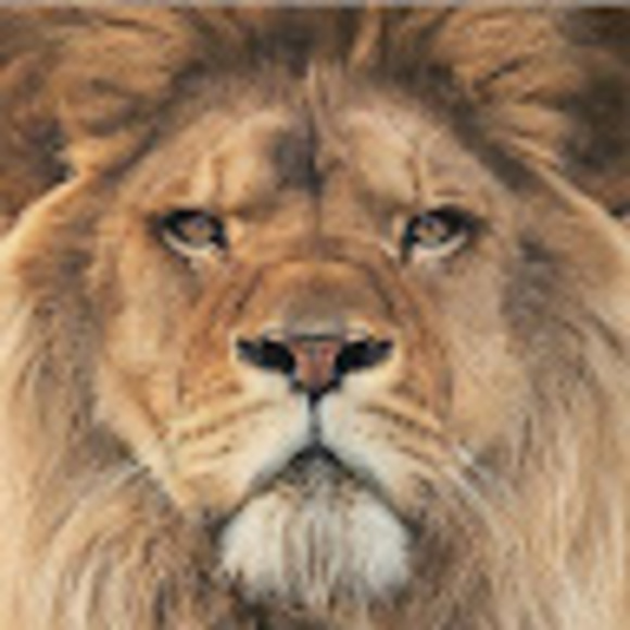 Meet your Posher, José - Picture 1 of 1